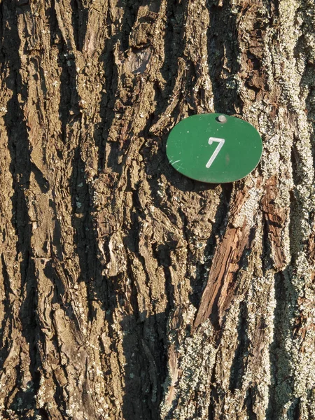 Bark med nummer sju vertikal — Stockfoto