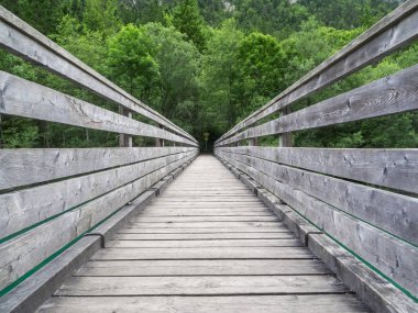 Avusturya Plansee Köprüsü