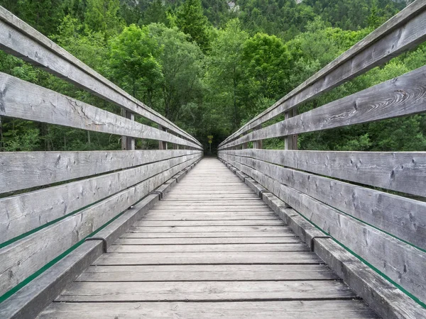 Avusturya Plansee Köprüsü