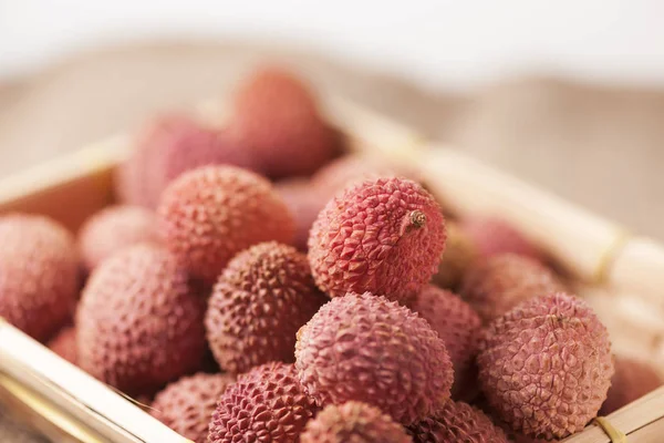 Çin chinensis quare sepet içinde