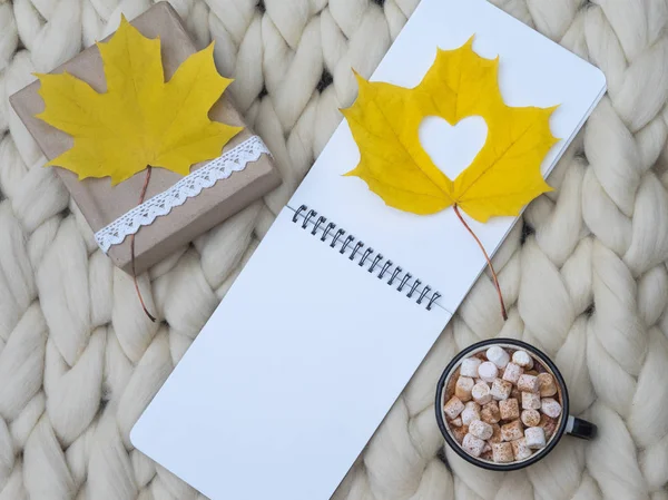 Gezellige Samenstelling Warme Chocolademelk Met Marshmallows Merino Wollen Deken Warme — Stockfoto