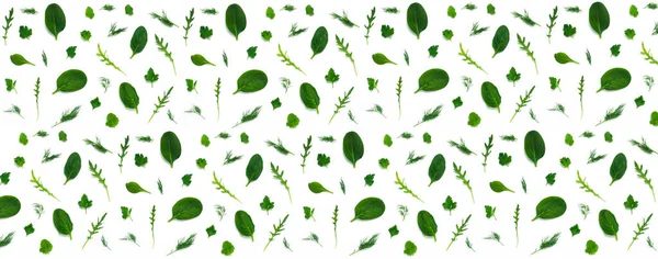 Green fresh herbs leaves food on white background. Copy space. Healthy lifestyle. — Stock Photo, Image