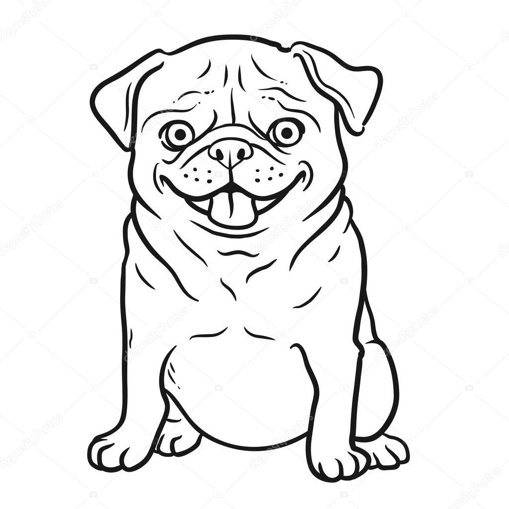 Animales., Genealogía, Vector, Contexto, Ilustración Imagen Vectorial