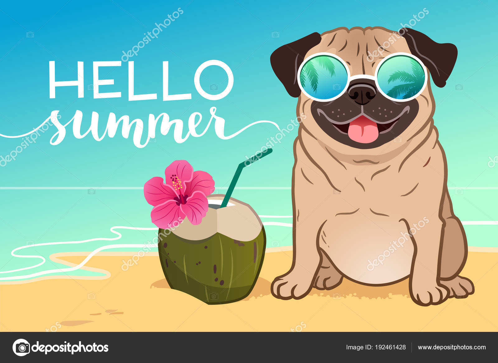 Chien Carlin Lunettes De Soleil Réfléchissantes Sur Une