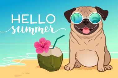 Okyanusta bir kum plajındaki yansıtıcı güneş gözlüğü takıyor pug köpek