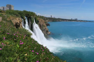 Çiçekler, bahar Antalya'da Düden Şelale