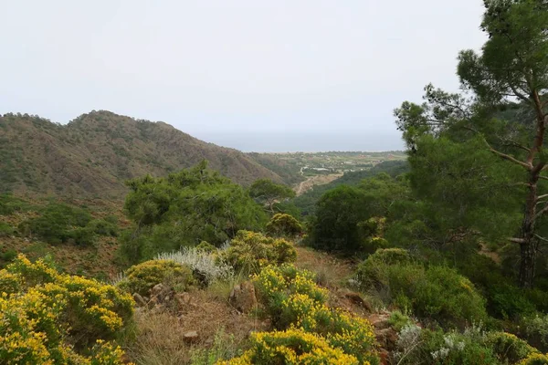 Cirali-Olympos, la mer Méditerranée et les montagnes du Taureau en Turquie — Photo