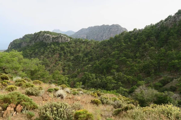 Cirali-Olympos, el mar Mediterráneo y las montañas Tauro en Turquía — Foto de Stock