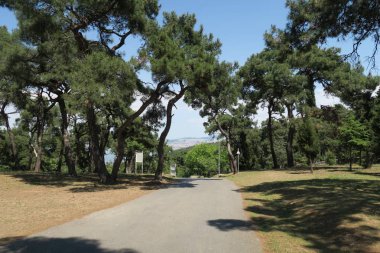 Prens Adası Buyukada Marmara Denizi'nde yakınındaki Istanbul, Türkiye