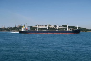 Boğaziçi, Istanbul, Türkiye'de geçen büyük kargo konteyner gemisi