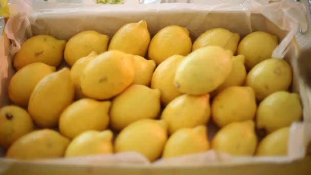 Limones en una caja — Vídeo de stock