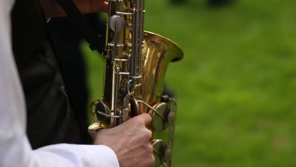 Saxofonista jugando en la naturaleza — Vídeos de Stock