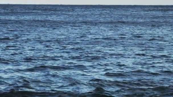 Θαλασσογραφία. Θέα στον ωκεανό. — Αρχείο Βίντεο