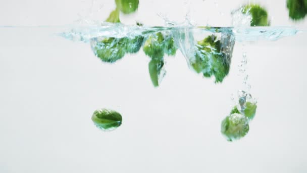Brussels sprouts falling into water — Stock Video