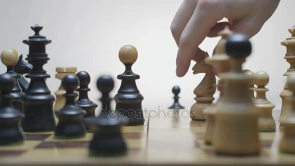 Schachzüge auf weißem Hintergrund — Stockvideo
