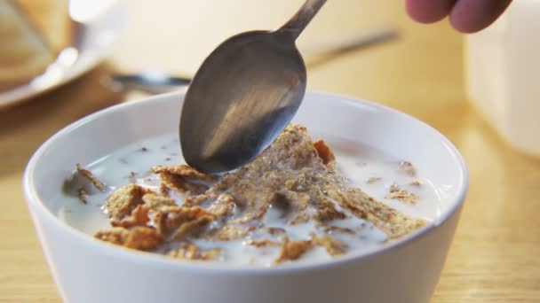 A Bowl and Muesli on a Spoon — Stock Video