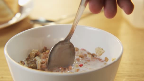 Muesli mélangé avec une cuillère 