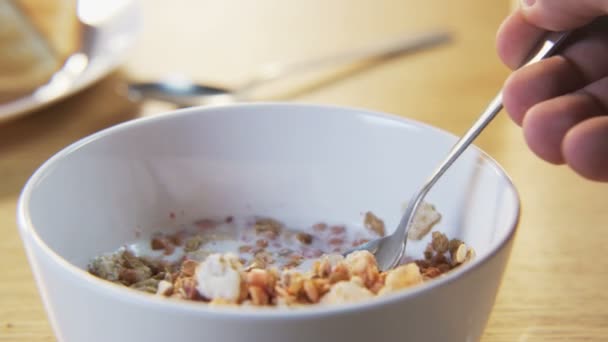 Muesli mélangé avec une cuillère 