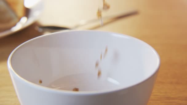 Putting Little Muesli into a Bowl — стоковое видео