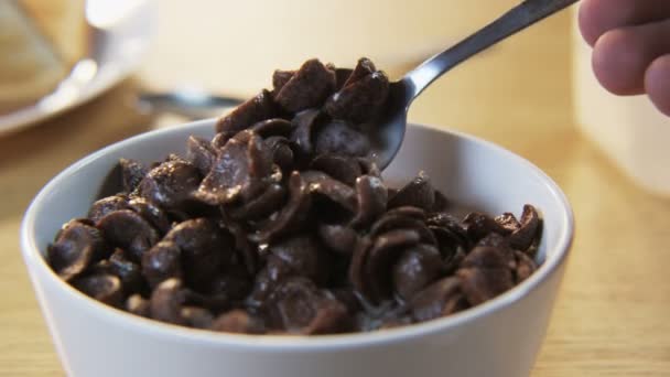 Chocolate Flakes on a Spoon — Stock Video