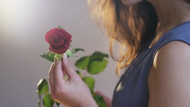 Νεαρή Γυναίκα Ένα Κόκκινο Τριαντάφυλλο Στο Χέρι Της Γκρο Πλαν — Αρχείο Βίντεο