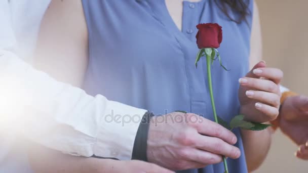 Człowiek Daje Kobiecie Różę Ona Trzyma Rękę Szczelnie Góry Strzał — Wideo stockowe