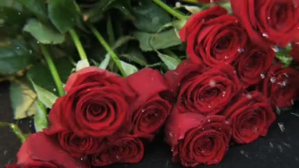 Roses Rouges Tombant Fond Noir Extrême Gros Plan Tourné Sur — Video