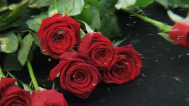 Roses Rouges Tombant Fond Noir Extrême Gros Plan Tourné Sur — Video