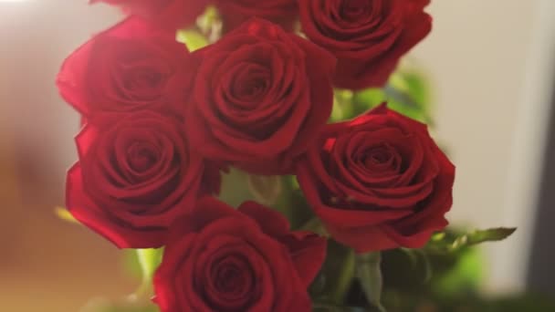 Un bouquet de roses rouges. Gros plan. Tourné sur RED Epic 