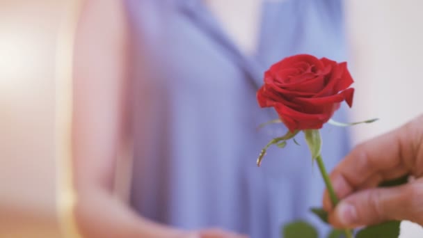男性は女性に赤いバラを与えます クローズ アップ 赤の叙事詩のショット — ストック動画