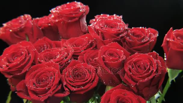 Red Roses Moving Чёрный Фон Экстремальный Крупный План Съемка Красном — стоковое видео