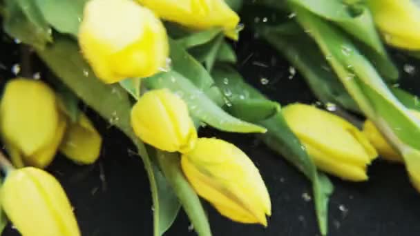 Tulipani Gialli Bagnati Che Cadono Fondo Nero Primo Piano Estremo — Video Stock