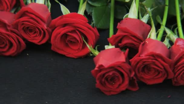 Red Roses Lying Floor Black Background Extreme Close Shot Red — Stock Video