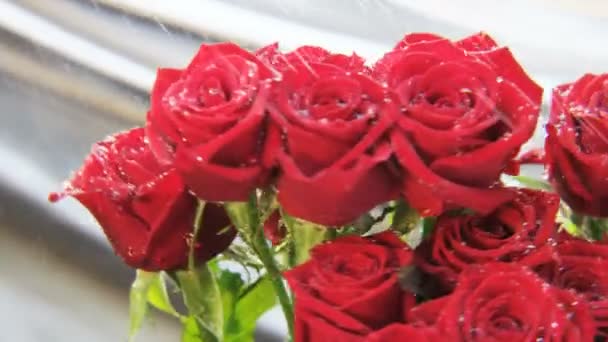 Rote Rosen Rotieren Regen Silbriger Hintergrund Extreme Nahaufnahme Schuss Auf — Stockvideo
