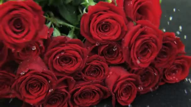 Rose Rosse Che Cadono Fondo Nero Primo Piano Estremo Girato — Video Stock