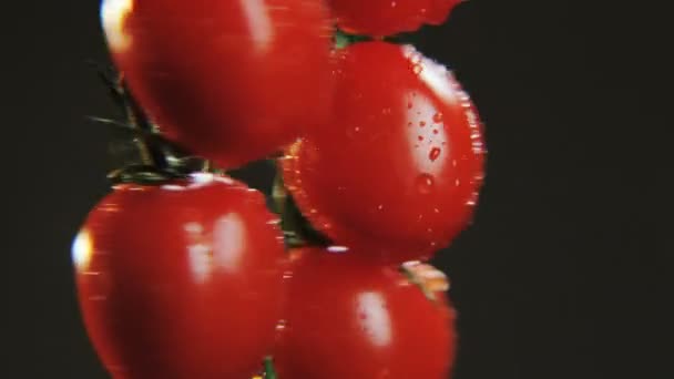 Tomates Girando Fundo Preto Frutas Vermelhas Movendo Círculo Close Tiro — Vídeo de Stock