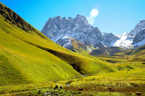 Caucasus Mountains, village Juta. green hill, blue sky, mountain from stones and snowy peak Chaukhebi in summer.