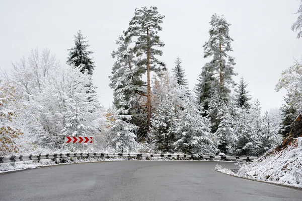 road in forest in caucasus mountains. winter snow, fog and pine trees. Road from Borjomi to Bakuriani, Georgia