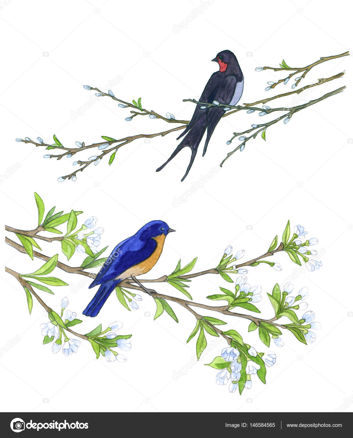 Uccello sull albero di mele Illustrazioni disegnate a mano — Foto Stock