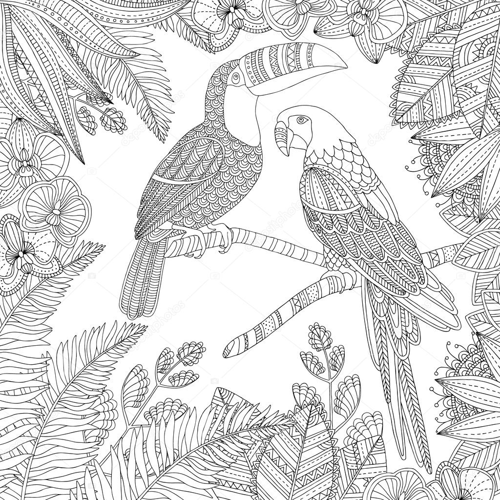 Vector hand drawn toucan bird and ara parrot tropical illustration for adult coloring book. Freehand sketch for adult anti stress coloring book page with doodle and zentangle elements. Illustration