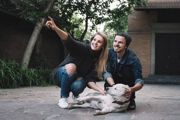 Bir adam ile bir köpek