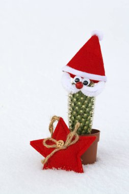 Noel kaktüs Noel Baba karda