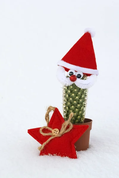 Natale cactus Babbo Natale nella neve Foto Stock Royalty Free