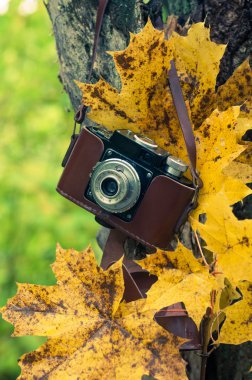 Sonbahar konser, Tortum arka plan üzerinde retro kamera