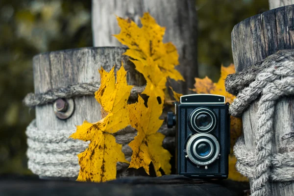 Concerto d'autunno, macchina fotografica retrò su sfondo di legno — Foto Stock