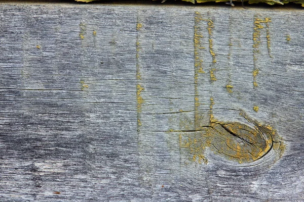 Tablón de madera pintada envejecida con liquen y musgo . —  Fotos de Stock