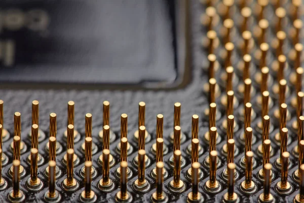 Bilgisayar merkezi işlemci ünitesinin mikro elementleri, CPU kontak pimlerini kapat.