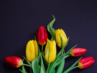 Kırmızı ve Sarı Lale buketi çiçek closeup makro izole taze bahar üzerinde siyah arka plan Üstten Görünüm