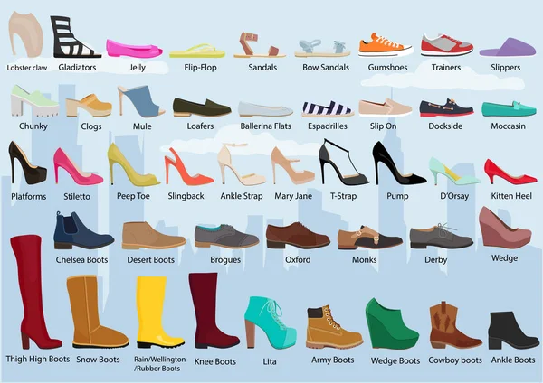 Set med olika typer av damskor / kvinnans skor. Baletter, sneakers, stövlar, flats. Samling av hösten, vintern och våren skor för kvinnor kvinna sätta — Stock vektor