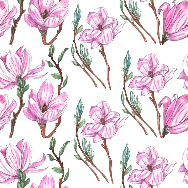 suluboya manolya dikişsiz desen yapraklar ve dallar, yay deseni, çiçek deseni